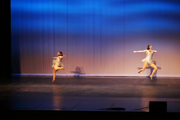 Keywords: Katelyn_L;Sofia_C