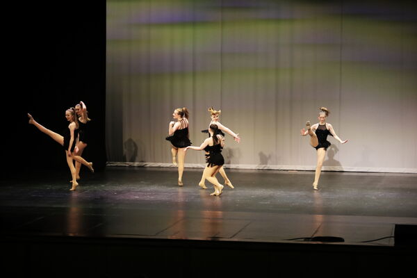 Keywords: Hayley_B;Katelyn_L;Jessica_P;Ashley_S;Taylor_S;Grace_V