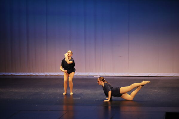 Keywords: Alex_P;Hailey_P