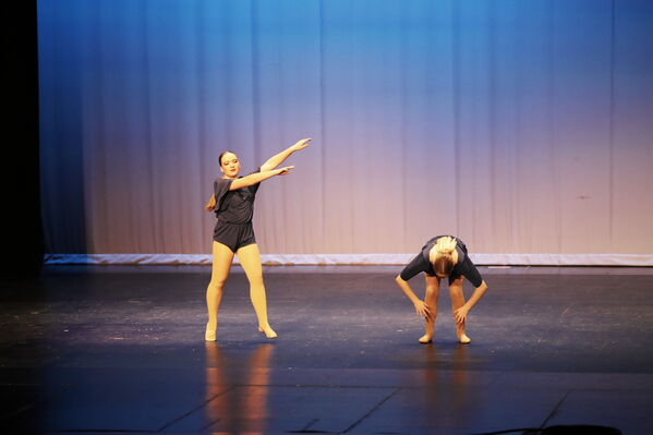 Keywords: Alex_P;Hailey_P