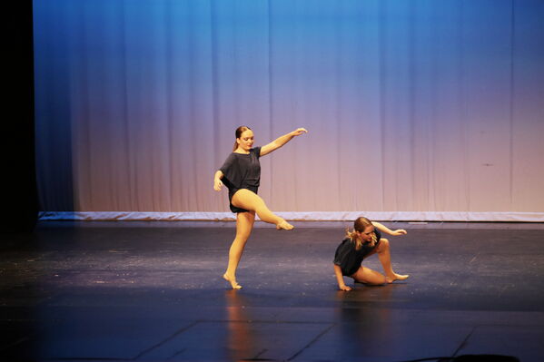 Keywords: Alex_P;Hailey_P