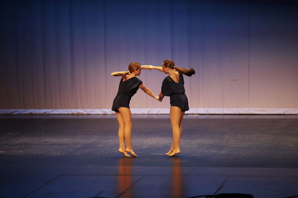 Keywords: Alex_P;Hailey_P