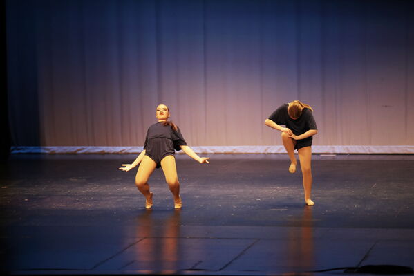 Keywords: Alex_P;Hailey_P